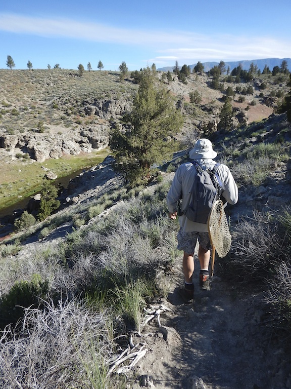 When Hot Creek drops into a canyon, it's a steep walk to the water. (Photo: Tom Adkinson)